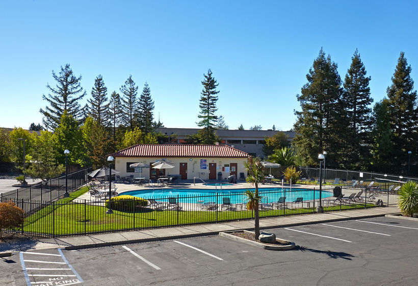 Sandman Motel  | Santa Rosa | California | United States 3