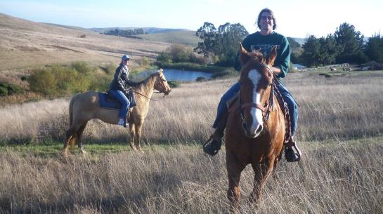 Hotel Sonoma Coast Villa  | Santa Rosa | California | United States 7