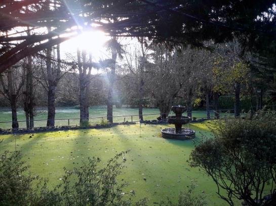 Hotel Sonoma Coast Villa  | Santa Rosa | California | United States 9