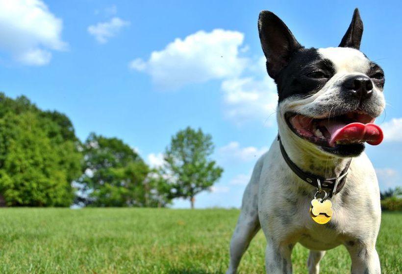 Hotel Aloft Sunnyvale  | Sunnyvale | California | United States 13