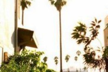 Hotel The Ambrose  | Santa Monica | California | United States 1