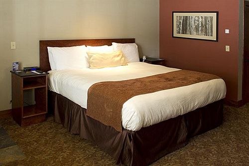 Hotel Avalon Lodge  | South Lake Tahoe | California | United States 18