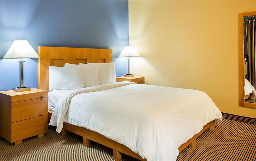 Hotel La Luna Inn  | San Francisco | California | United States 4