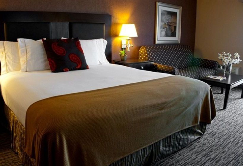 Hotel Holiday Inn Express San Clemente North  | San Clemente | California | United States 10