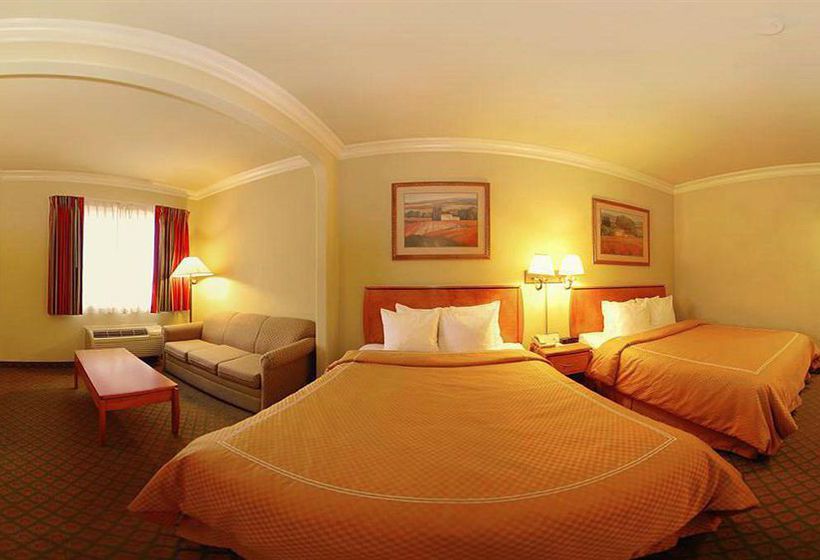 Hotel Comfort Suites San Jose Airport  | San Jose | California | United States 6