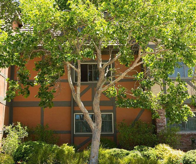 Hotel Corque  | Solvang | California | United States 1