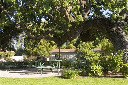 Hotel Meadowlark Inn  | Solvang | California | United States 1