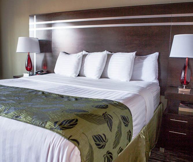 Motel Capri  | San Francisco | California | United States 1