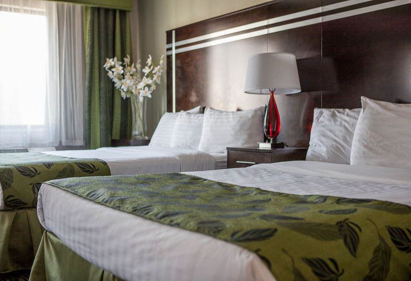 Motel Capri  | San Francisco | California | United States 12