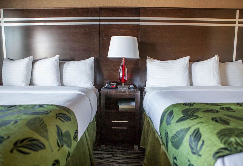 Motel Capri  | San Francisco | California | United States 2