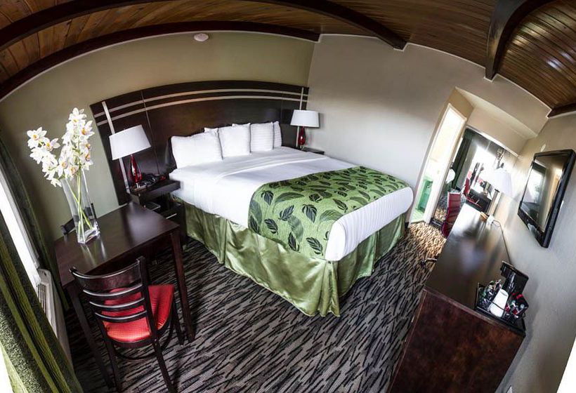 Motel Capri  | San Francisco | California | United States 4