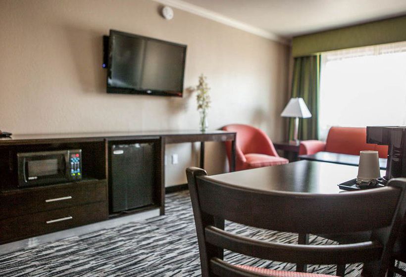 Motel Capri  | San Francisco | California | United States 5