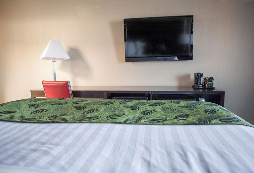 Motel Capri  | San Francisco | California | United States 7