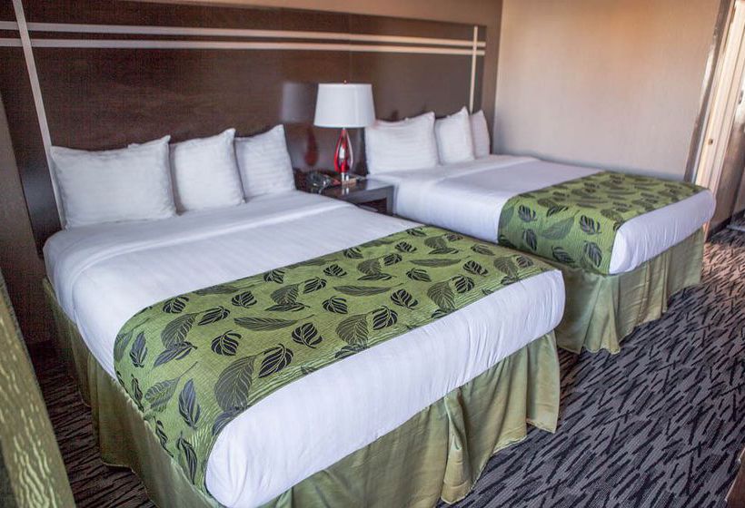 Motel Capri  | San Francisco | California | United States 8