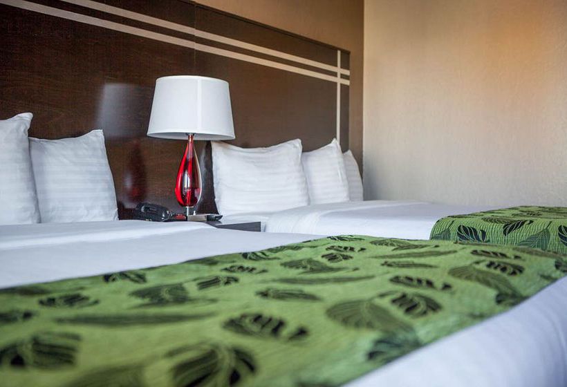 Motel Capri  | San Francisco | California | United States 9