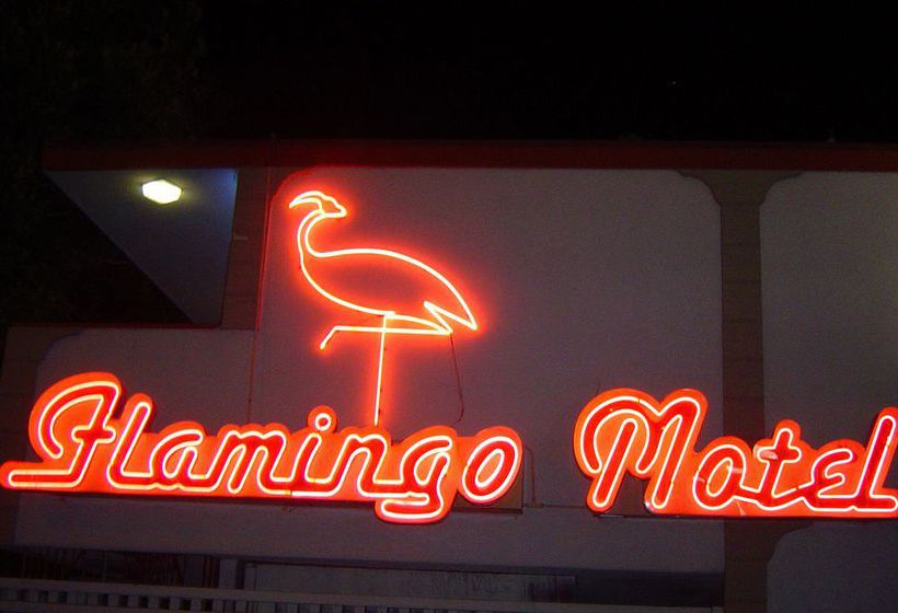 Flamingo Motel California