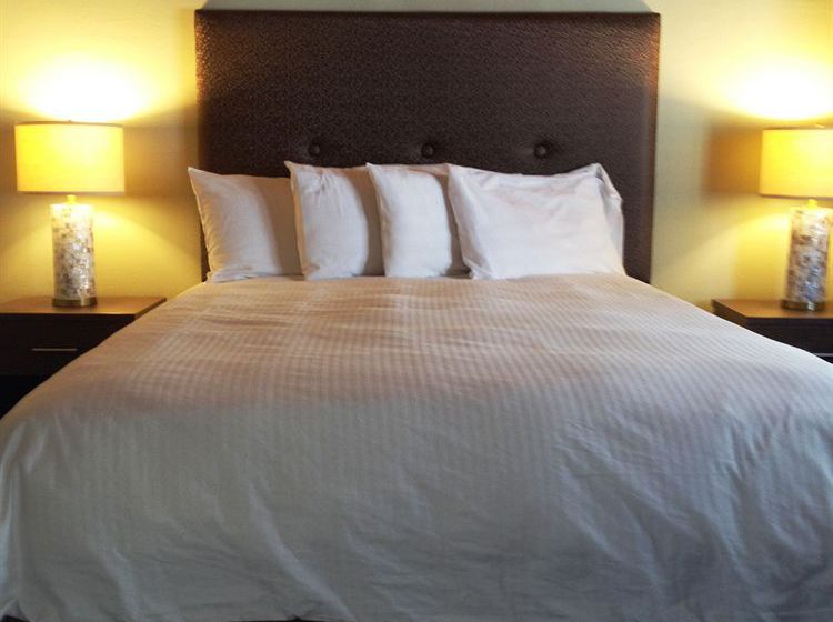 Hotel Ocean Echo Inn  | Santa Cruz | California | United States 19