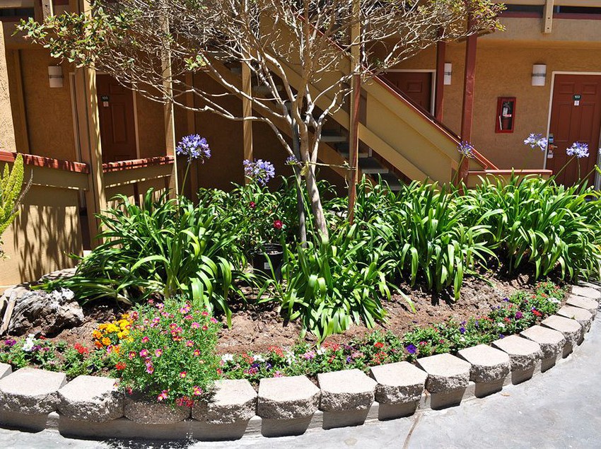 Hotel Howard Johnson Inn Santa Cruz  | Santa Cruz | California | United States 2