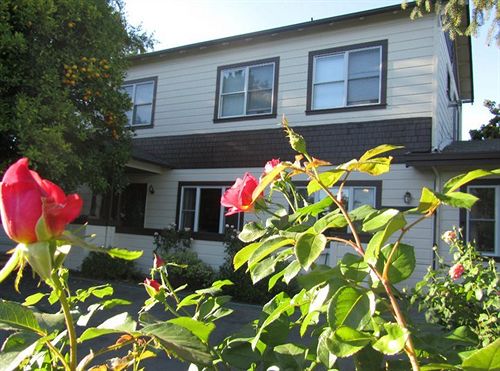 Hotel Cinnamon Bear Creekside Inn  | Sonoma | California | United States 3