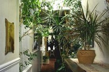 San Remo Hotel  | San Francisco | California | United States 11