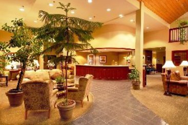 Hotel Forest Suites Resort  | South Lake Tahoe | California | United States 5