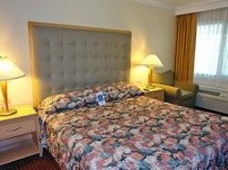 Motel 6 San Jose Convention Center  | San Jose | California | United States 2