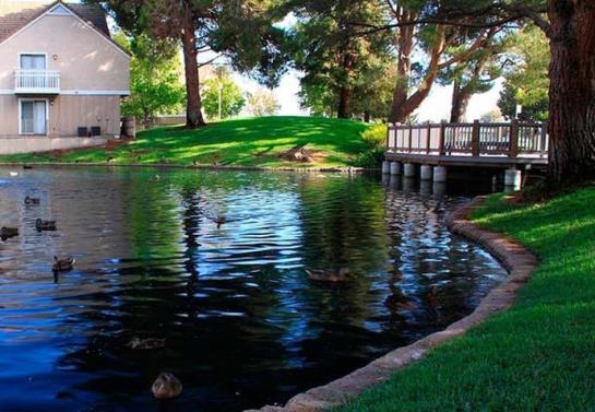 Residence Inn Silicon Valley I  | Sunnyvale | California | United States 8