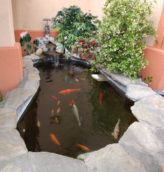 Hotel Best Western Plus Antelope Inn