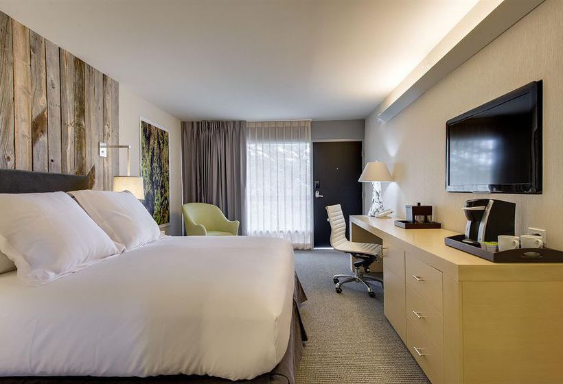 Hotel Paradox  | Santa Cruz | California | United States 3