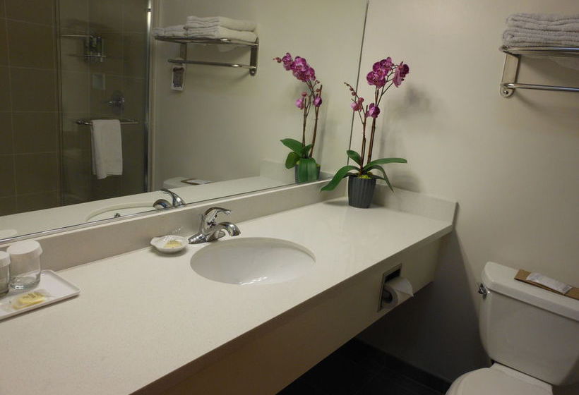 Grant Plaza Hotel  | San Francisco | California | United States 11