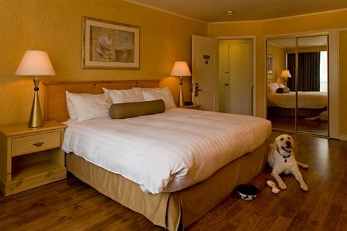 Flamingo Resort & Spa  | Santa Rosa | California | United States 16