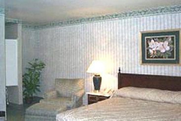 Hotel Executive Inn Suites  | San Jose | California | United States 1