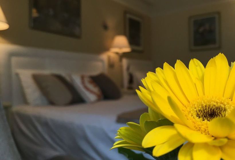 Cornell Hotel  | San Francisco | California | United States 3