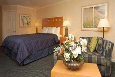 Hotel Comfort Inn Sunnyvale  | Sunnyvale | California | United States 13