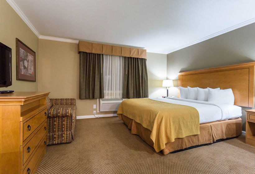 Hotel Quality Inn & Suites Sunnyvale   | Sunnyvale | California | United States 15