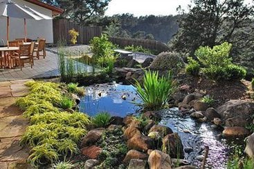 Hotel Chaminade Resort & Spa  | Santa Cruz | California | United States 19