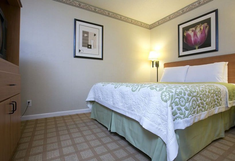 Hotel City Center Inn & Suites San Francisco  | San Francisco | California | United States 5
