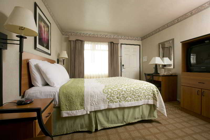 Hotel City Center Inn & Suites San Francisco  | San Francisco | California | United States 6