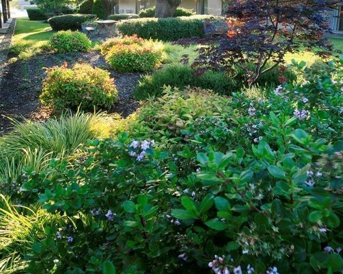 Hotel Best Western Garden Inn  | Santa Rosa | California | United States 1