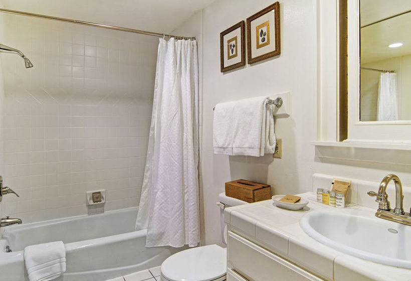 Hotel Babbling Brook Inn  | Santa Cruz | California | United States 9