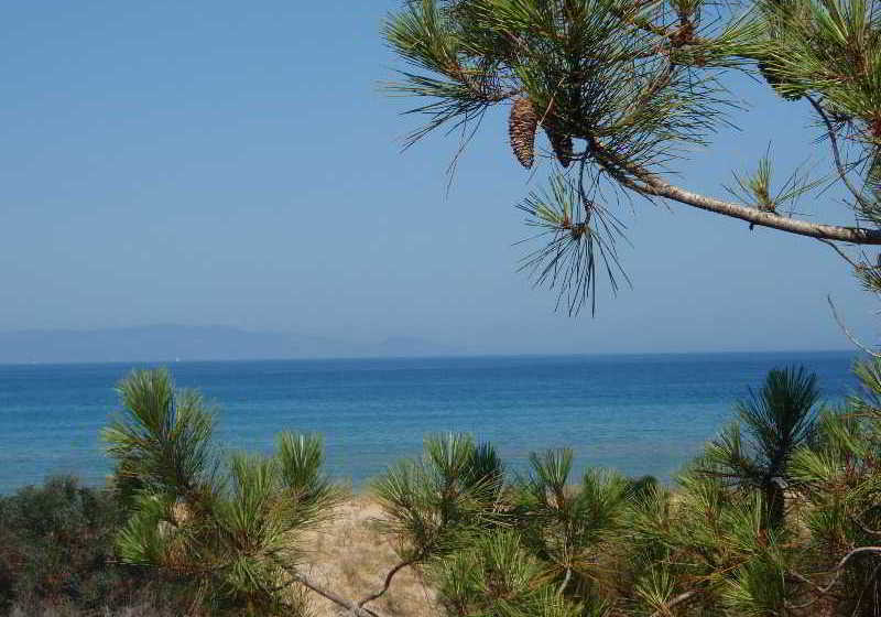 Hotel Taxiarhis  | Vartholomio | Peloponnese | Greece 2