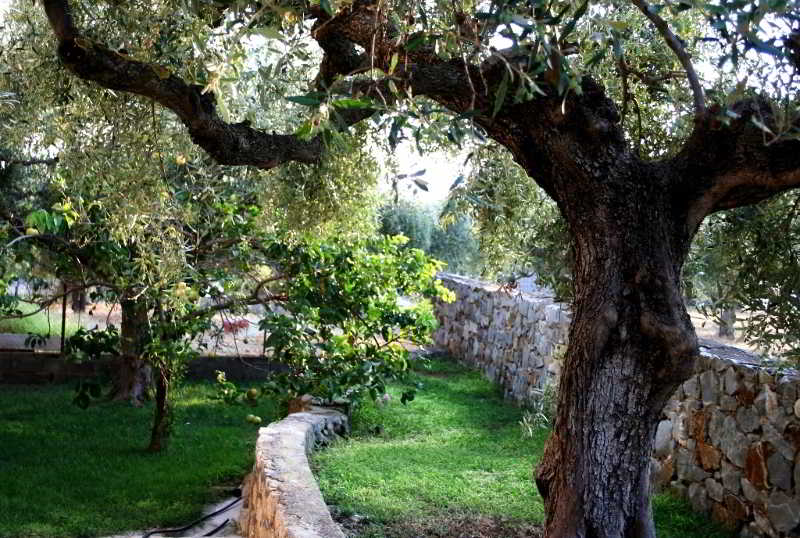 Nikas Rooms & Apartments  | Stoupa | Peloponnese | Greece 5