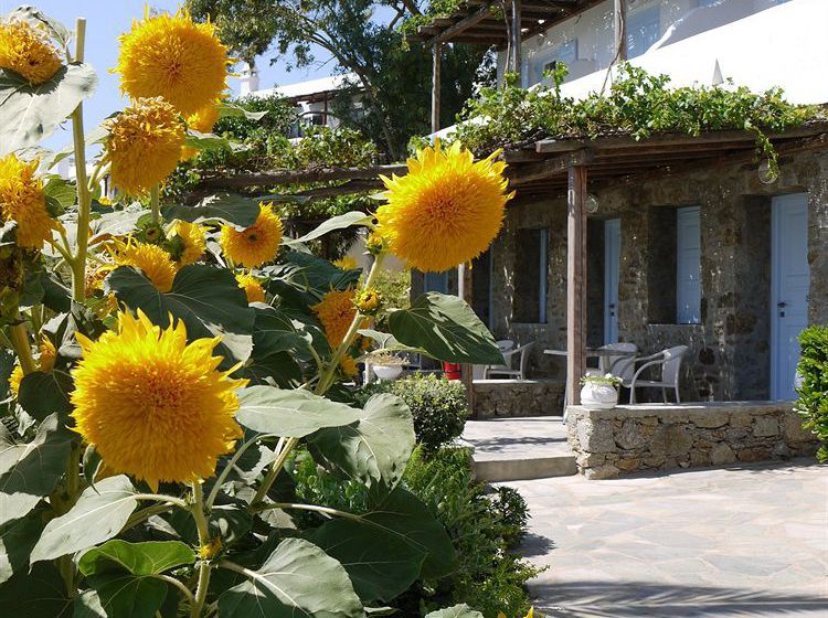 Hotel Panormos Village  | Panormos | Mykonos | Greece 12