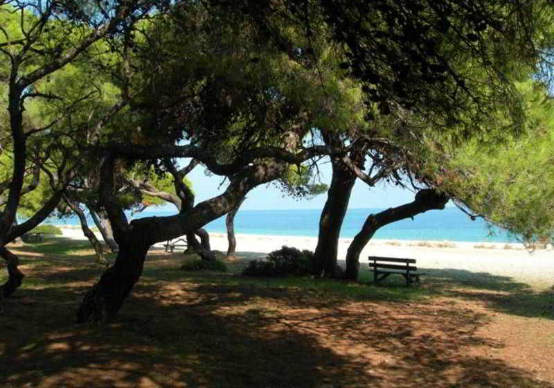 Daphne S Club  | Xylokastro | Peloponnese | Greece 6