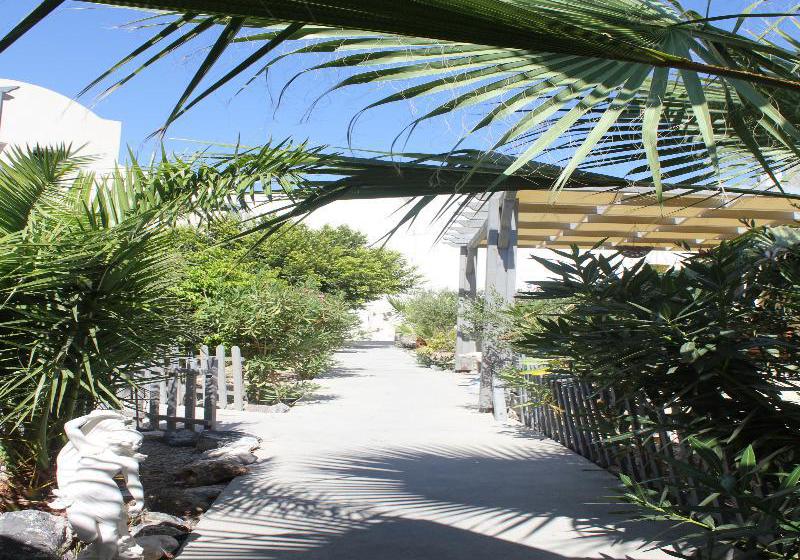 Belair Exclusive  | Perivolos | Santorini | Greece 3