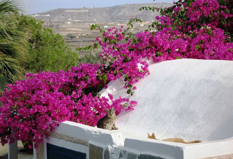 Best Western Paradise Hotel  | Akrotirion | Santorini | Greece 5