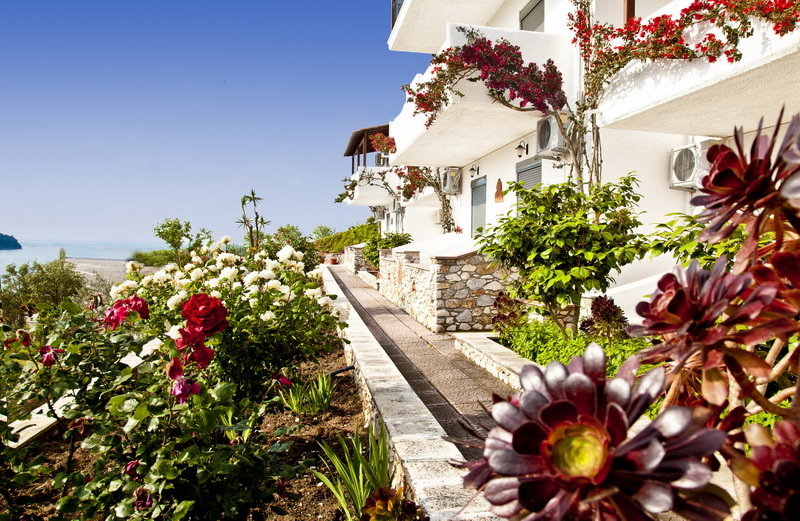 Hotel Telis  | Agia Paraskevi | Skiathos | Grecia 1