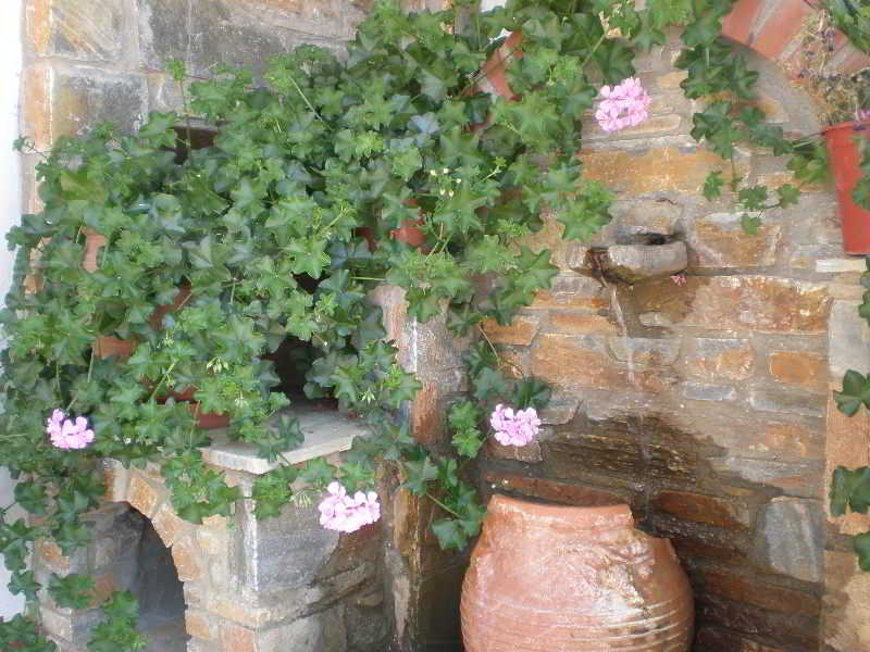 Pelion Resort  | Portaria | Thessaly | Greece 11