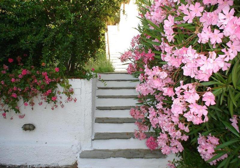 Hotel Skiathos Holidays  | Vromolimnos | Skiathos | Greece 15