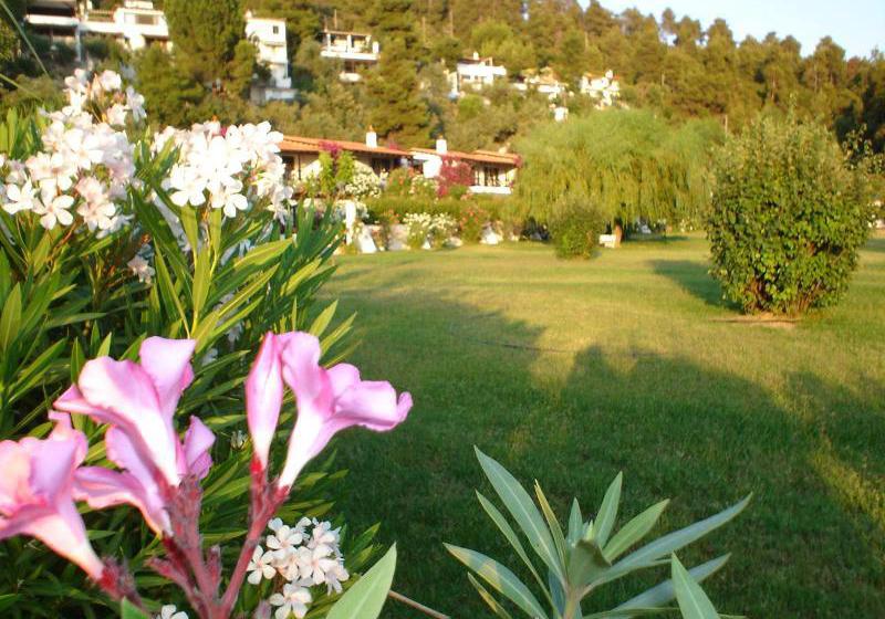 Hotel Skiathos Holidays  | Vromolimnos | Skiathos | Greece 16